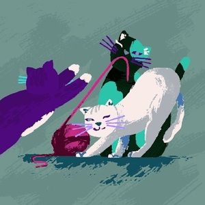 Meet your Posher, Morgan